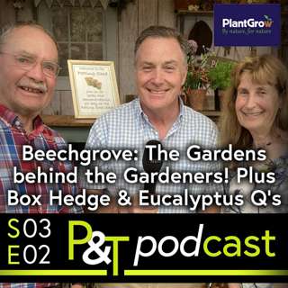 BBC Beechgrove Gardeners, Box Hedge & Eucalyptus Q's plus Early Bramleys!