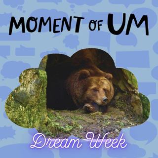 Do animals dream when they hibernate?