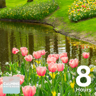 Spring Morning Ambience (8 Hours) | Birds Singing near Water Rapids for Anxiety