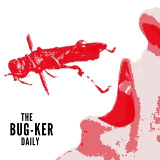 Daily: BUZZ FEED – Why eating insects will save the world