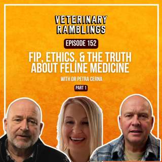 FIP, Ethics, & The Truth About Feline Medicine | Dr. Petra Cerna