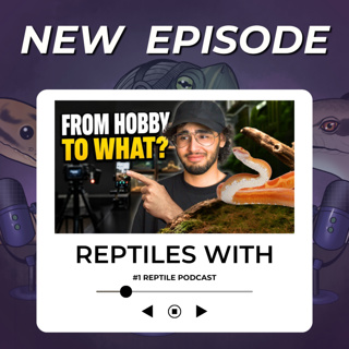 Our NEWEST Projects & How We Are Reinventing Ourselves in the Reptile Hobby | Reptiles With Podcastbs topic