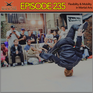 Episode 235 - Flexibility & Mobility in Martial Arts