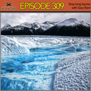 Episode 309 - Stop Icing Injuries with Gary Reinl