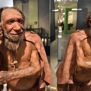 Hemlighetsfulla neanderthalaren i rampljuset