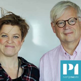 Förstår vi vad ett Natomedlemskap innebär?