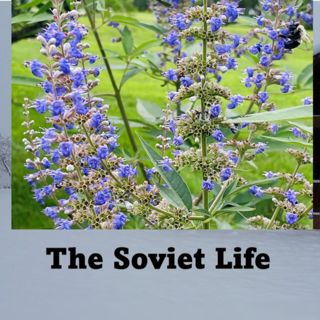 22: Summer Behind the Iron Curtain: What We Actually Did