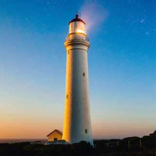 9 Bizarre Areas of Expertise