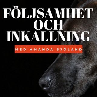 Följsamhet och inkallning