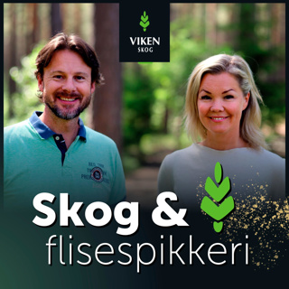 Hvorfor bør du gjødsle skogen din?