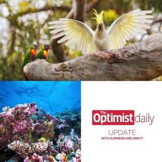 IVF Coral & Chart-Topping Bird Songs