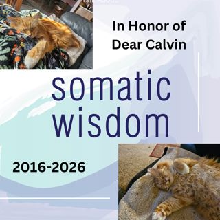 S8 E3 Grief, Loss, Releasing Sadness, Tears, Anger, and Fear (Solo)