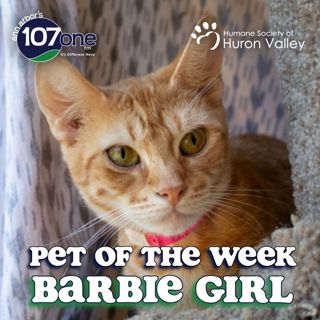 HSHV Pet of the Week 9/16/26