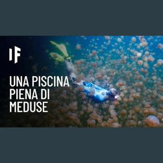 E se ti tuffassi in una piscina piena di meduse?