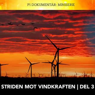 Striden mot vindkraften – Inte på våra fiskevatten
