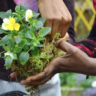 Hidden Roots: Extraordinary Tales from Black Women Gardeners