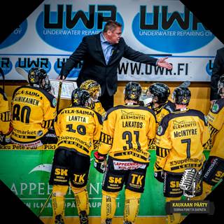 063 / Kissa pöydälle