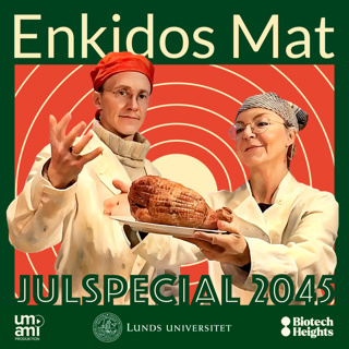 Enkidos mat - Julspecial 2045