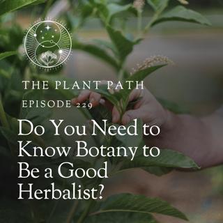 Do You Need to Know Botany to Be a Great Herbalist?