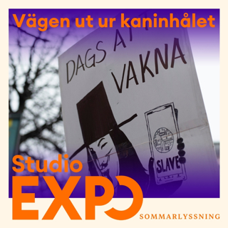 Sommarrepris: Vägen ut ur kaninhålet