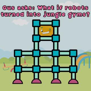 325. Gus asks: What if robots turned into jungle gyms? (Raditude Meditation)