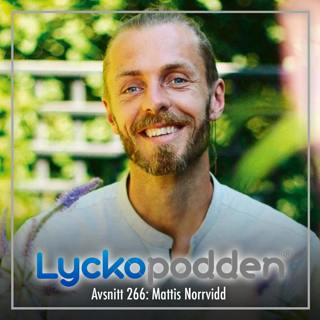 266. Mattis Norrvidd - Om toxisk vs. sund maskulinitet