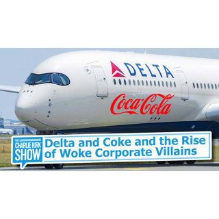 Delta and Coke and the Rise of Woke Corporate Villains