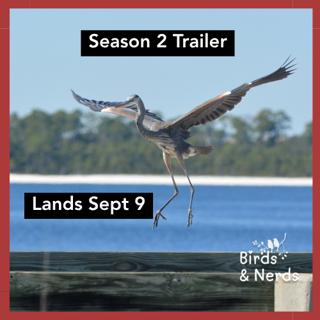 Birds & Nerds Season 2 Trailer | Where Culture, Science, Storytelling, and Birds Meet
