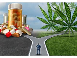 "Smoking Herb and the Pharmaceuticals Connection" on "A Cup of Joe"