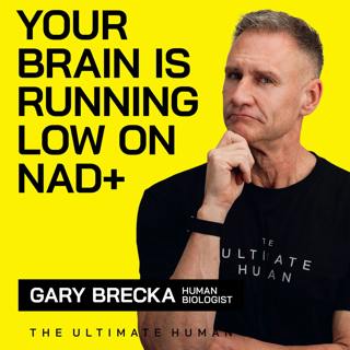 305 . Why CD38 Destroys NAD+ Faster Than You Produce It 