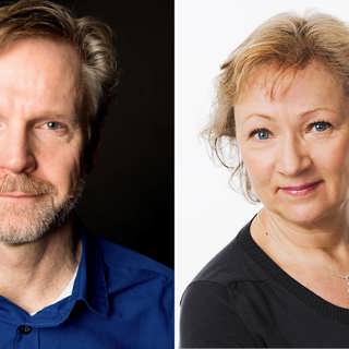 Valspecial: Experternas svar om valet