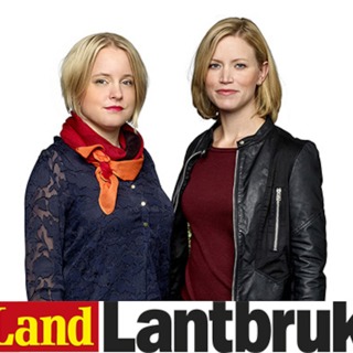Avsnitt 17: Kvinnorna