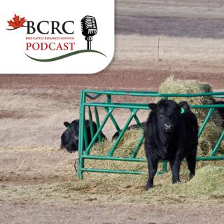 Episode 139: From a Piece of Wire to Contaminated Feed