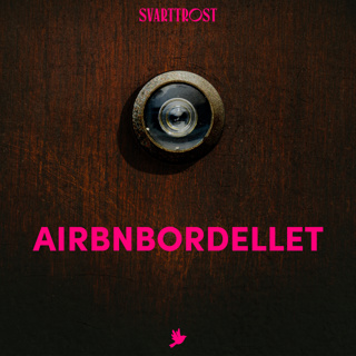 Airbnbordellet (1:5) Naken kvinne på spisebordet