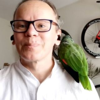 Lars Frick om torsdagens Q2-rapporter (15/7 - 2021)