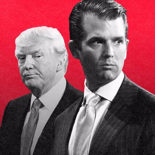 Did Donald Trump Jr.'s meeting with a Russian lawyer violate the law?
