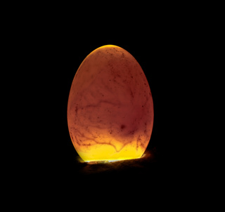 Ep. 105 Candling and Embryos
