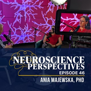 How Microglia Influence Brain Development and Disease | Ania Majewska