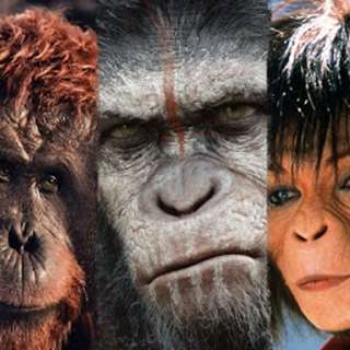 The Wild Cards Monkey Around