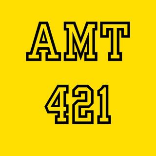 AMT421: Camp Classics, Singing Washing Machines, and Muffins