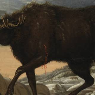 Älgjaktens mångtusenåriga historia