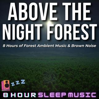 🌲 Above the Night Forest | 8 Hour Forest Ambient Music with Soothing Brown Noise & Forest Winds for Deep Sleep 💤