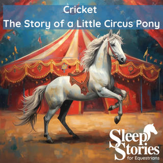 Pt. 2 Cricket the Story of a Little Circus Pony by Berta & Emler Hader