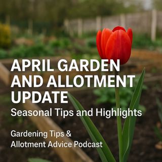 🎧 April Garden and Allotment Update: Seasonal Tips and Highlights | Gardening Tips & Allotment Advice Podcast