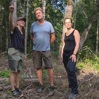 Privata skogsägare och landskapsperspektiv viktiga när naturrestaureringslag ska genomföras