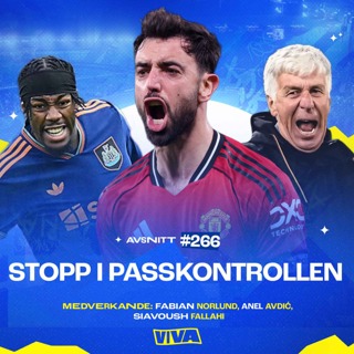 #266 Stopp i passkontrollen