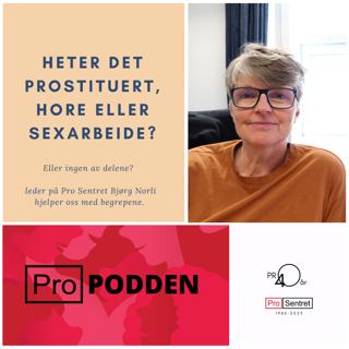 2:8 Heter det prostituert, hore eller sexarbeider, eller ingen av delene?