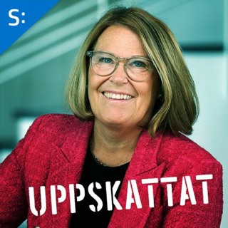 Karin Johansson om de viktigaste frågorna för den nya regeringen