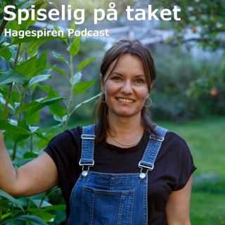16/23: Spiselig på taket med Liv Opsahl