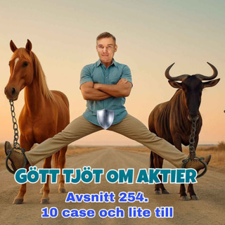 254. 10 case och lite till